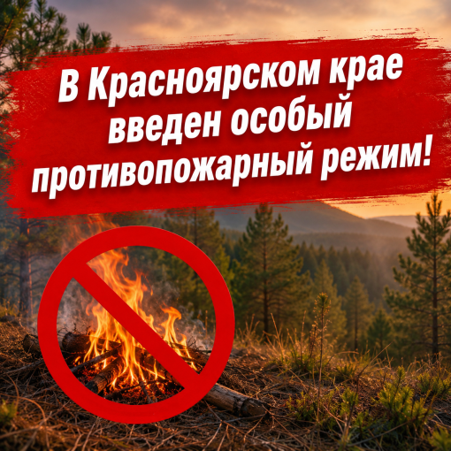 В Красноярском крае введён особый противопожарный режим.